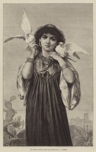 I Piccioni Bianchi da French School